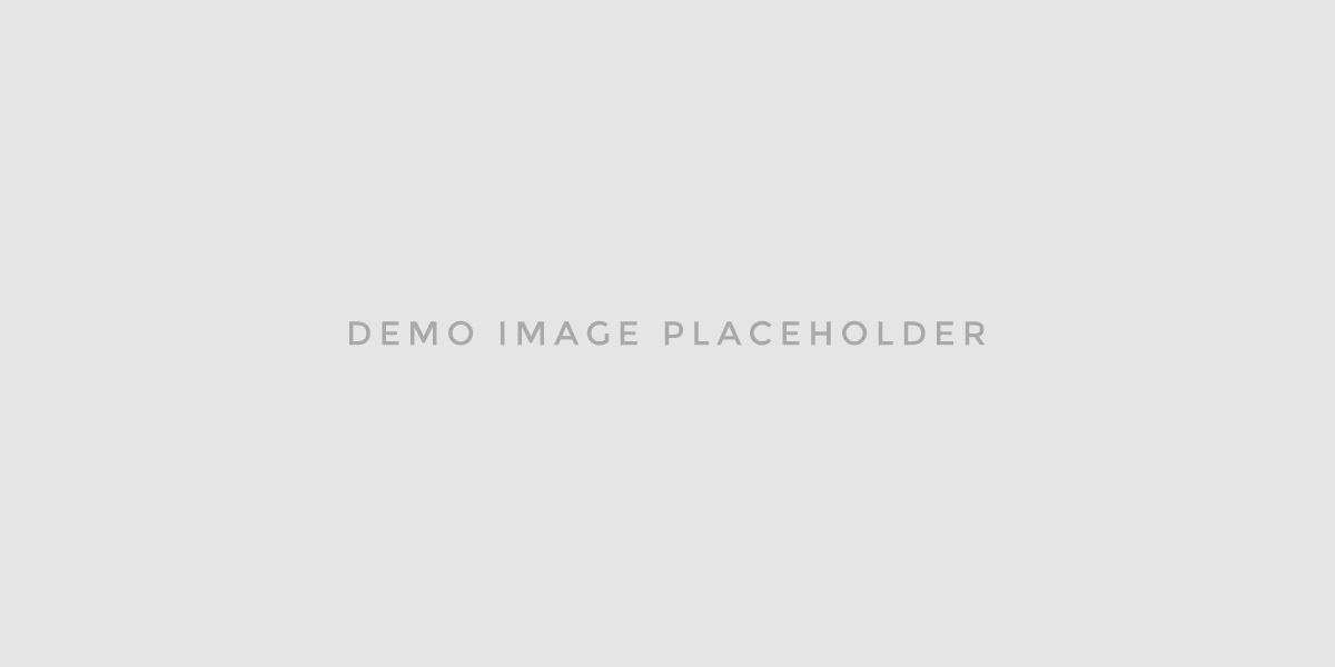 WordPress Themes